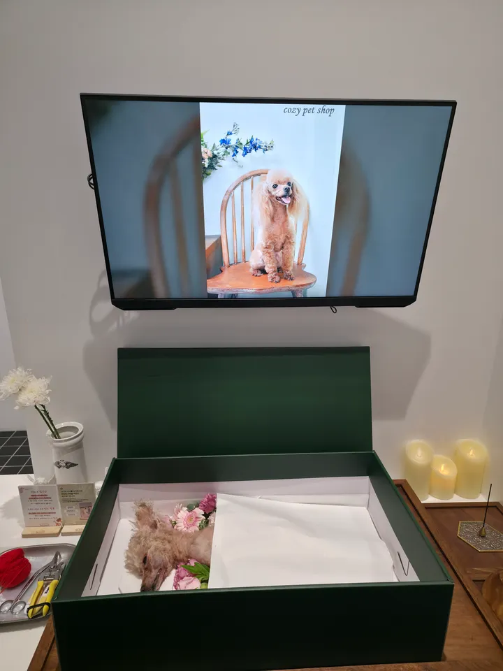 두리 보호자 후기 이미지